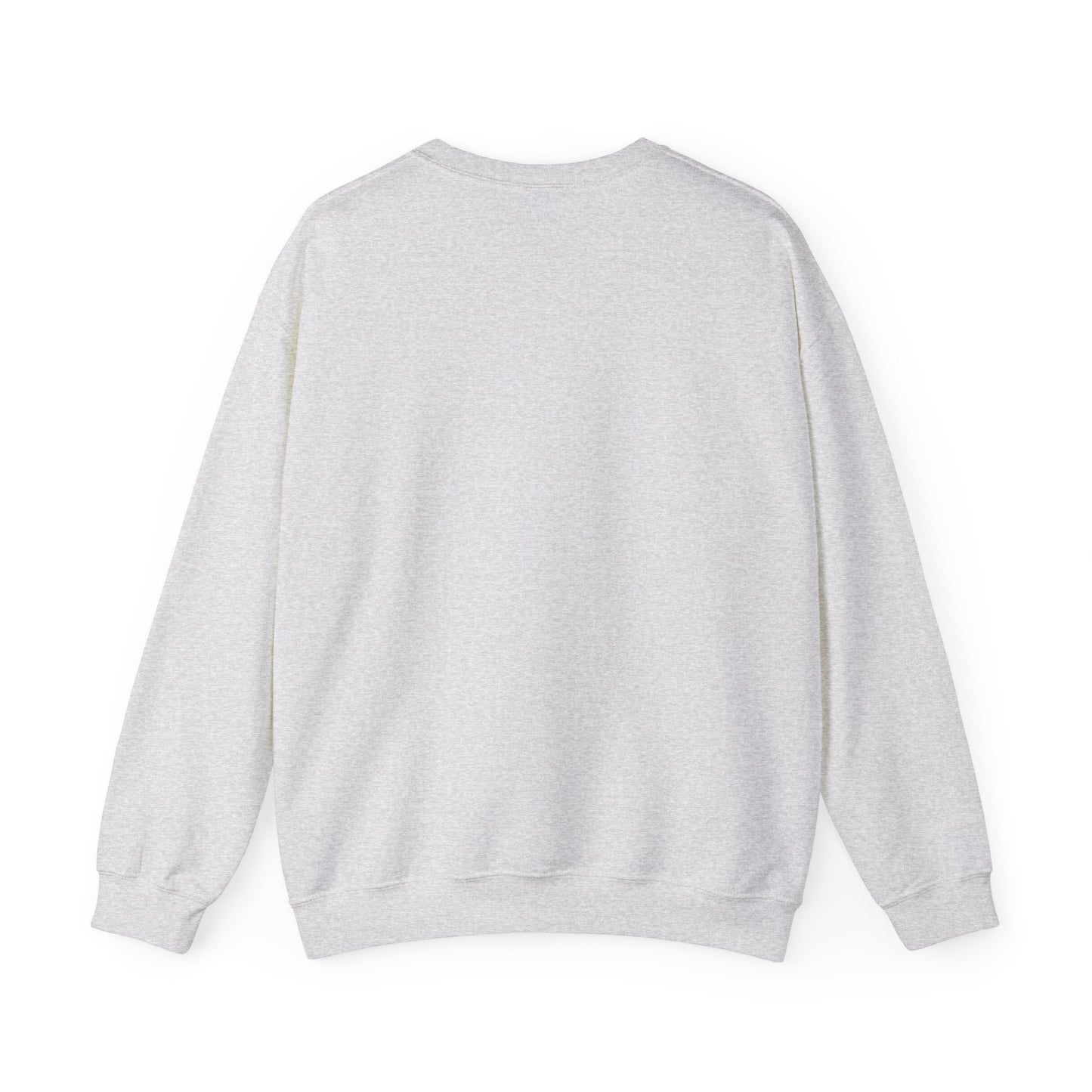 Chic Bow Stylish Sweatshirt